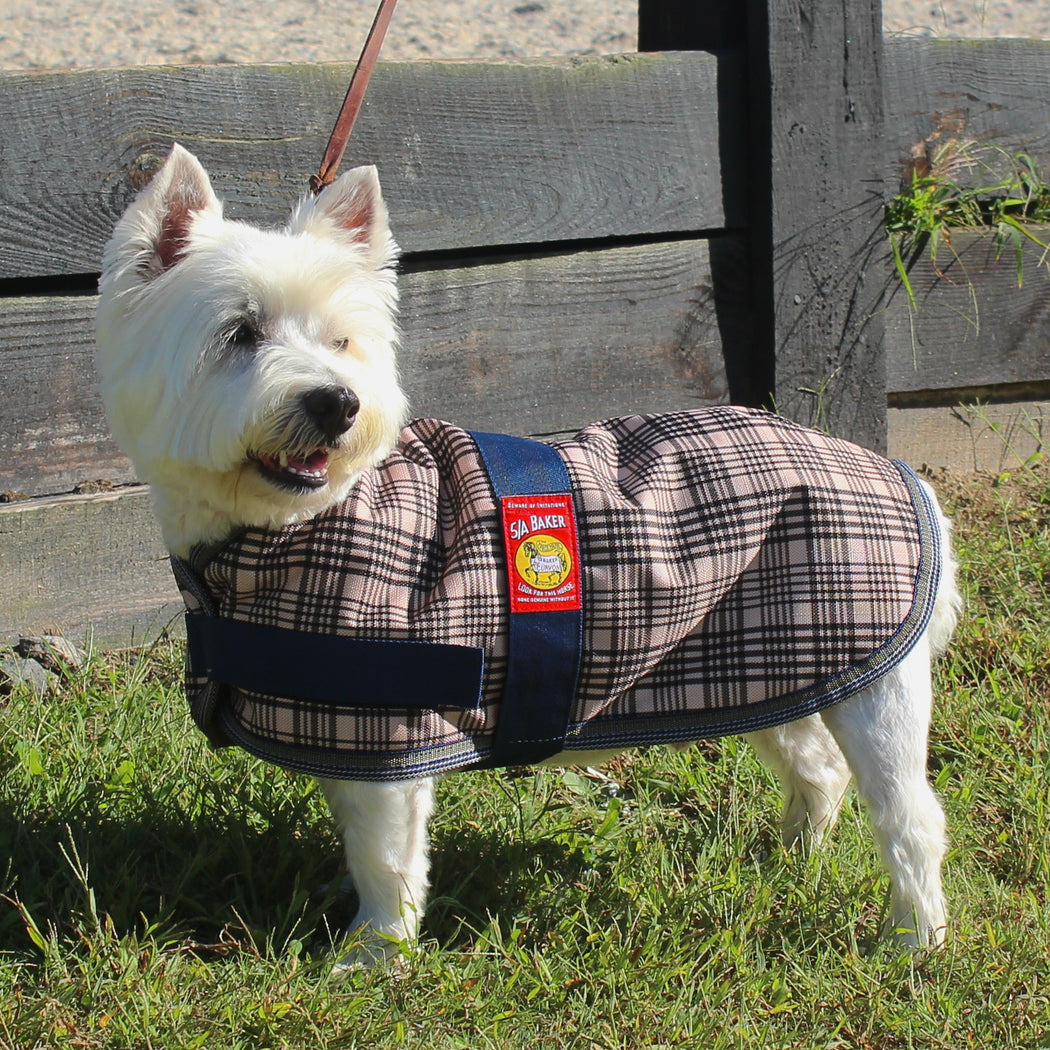 Horse blanket clearance dog coat